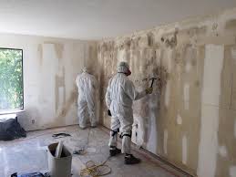 Best Mold Damage Restoration  in North Hornell, NY